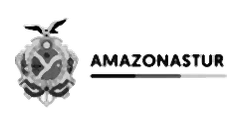 Amazonastur